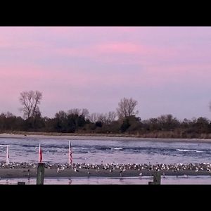 Meet your Posher, Joan